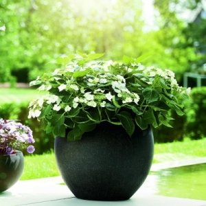 Chậu Composite Esteras Heerle