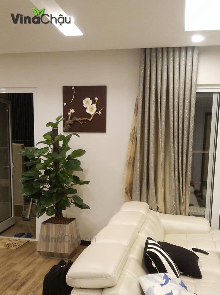 Chậu gỗ MDF trong không gian nội thất gia đình