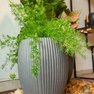 Mẫu chậu xi măng tròn nhẹ hot nhất