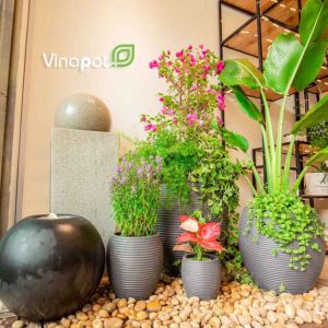 Xưởng cung cấp chậu xi măng nhẹ uy tín