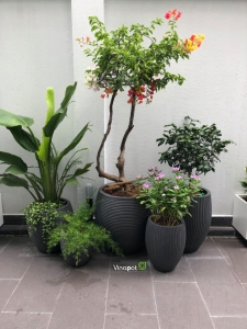 Chậu xi măng nhẹ fiber