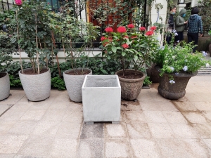 Chậu gỗ nhựa Composite được sử dụng cho các không gian hiện đại từ khách sạn, resort, trung tâm thương mại đến sân vườn, nhà cửa