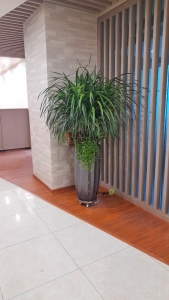 Chậu Composite Vinapot