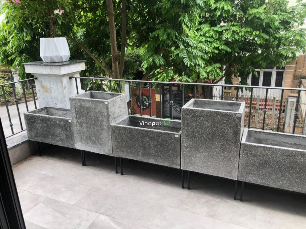 Giai đoạn hình thành chậu xi măng