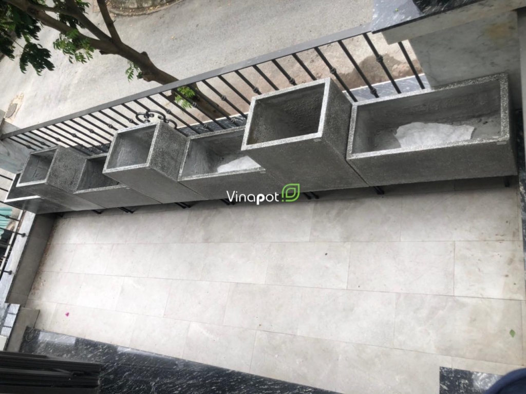 Giai đoạn hình thành chậu xi măng