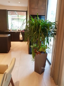 Chậu Composite Vinapot