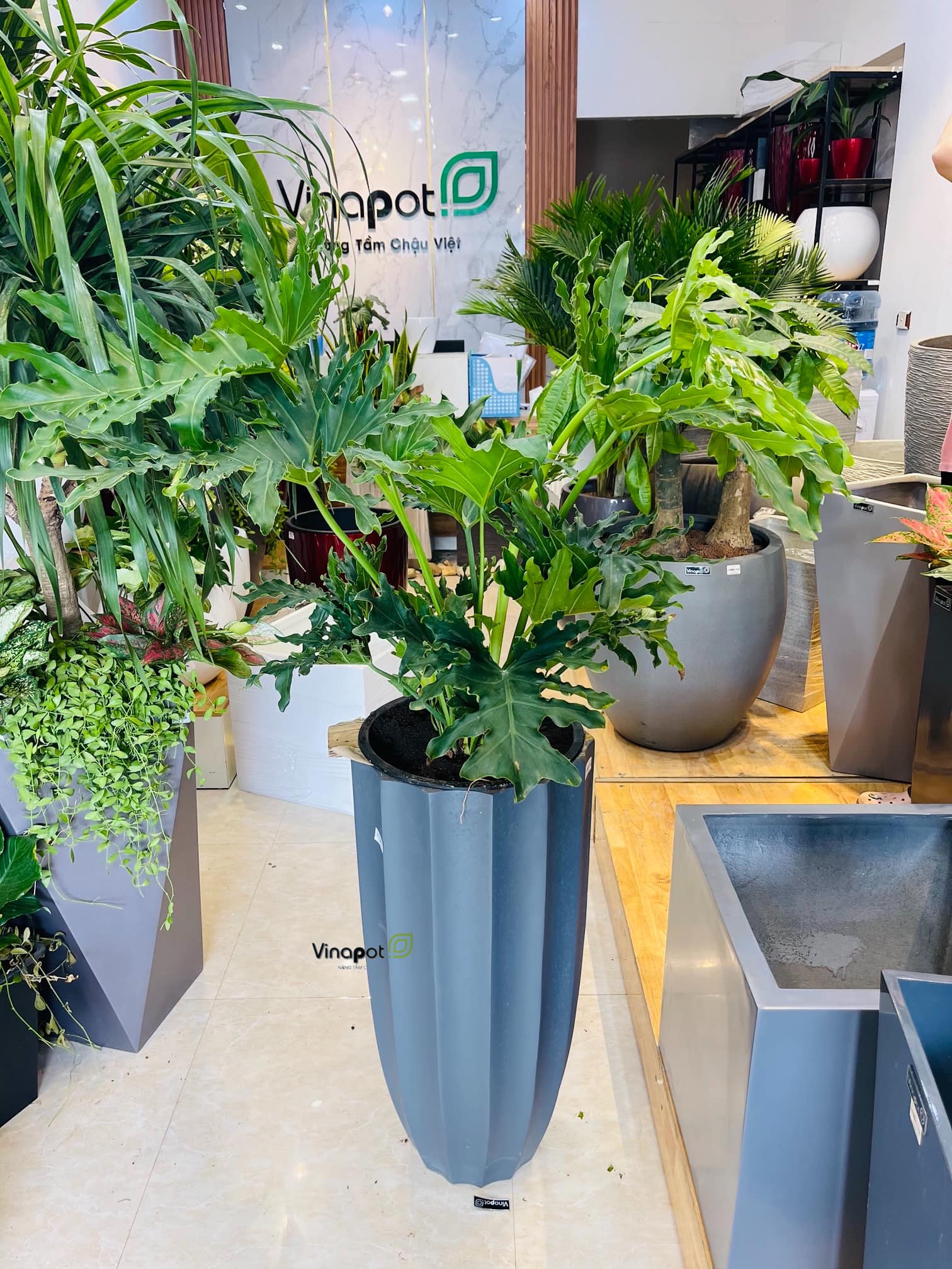 Chậu Composite Vinapot