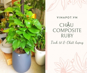 Chậu Composite Vinapot