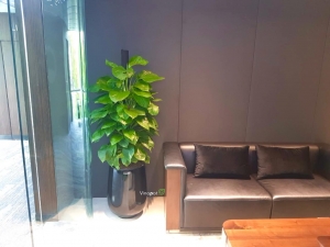 Chậu Composite Vinapot