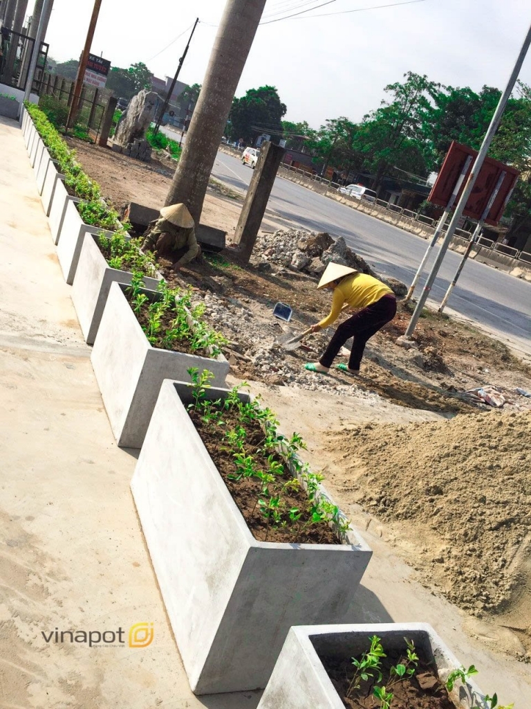 giai đoạn thi công