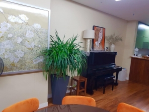 Chậu Composite Vinapot