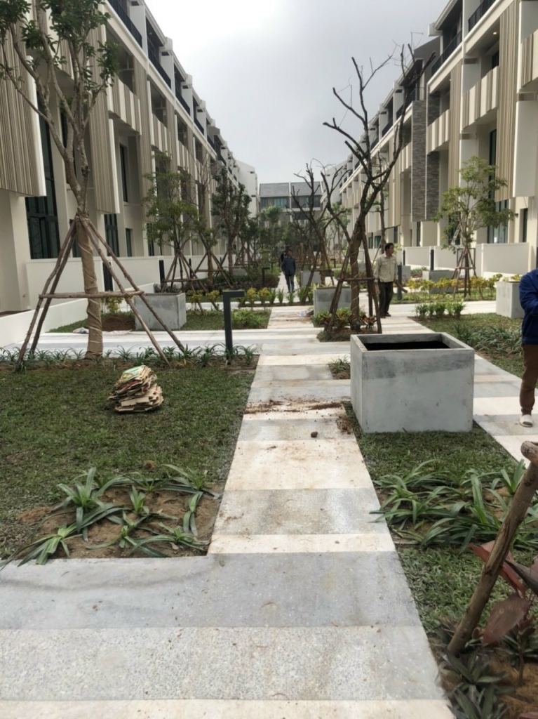 Giai đoạn thi công trang trí sân vườn