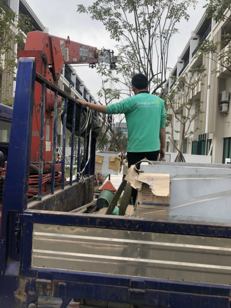 Giai đoạn vận chuyển chậu