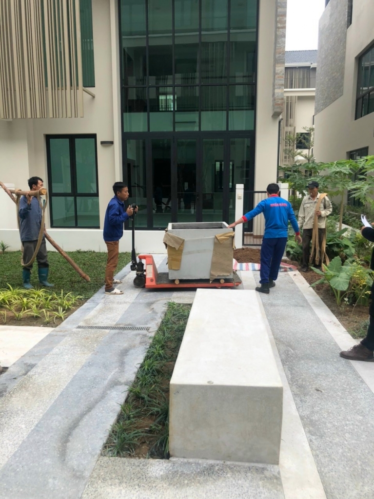 Giai đoạn vận chuyển chậu