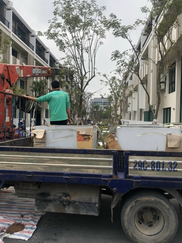 Giai đoạn vận chuyển chậu cây