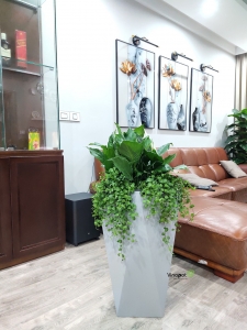 Chậu Composite Vinapot