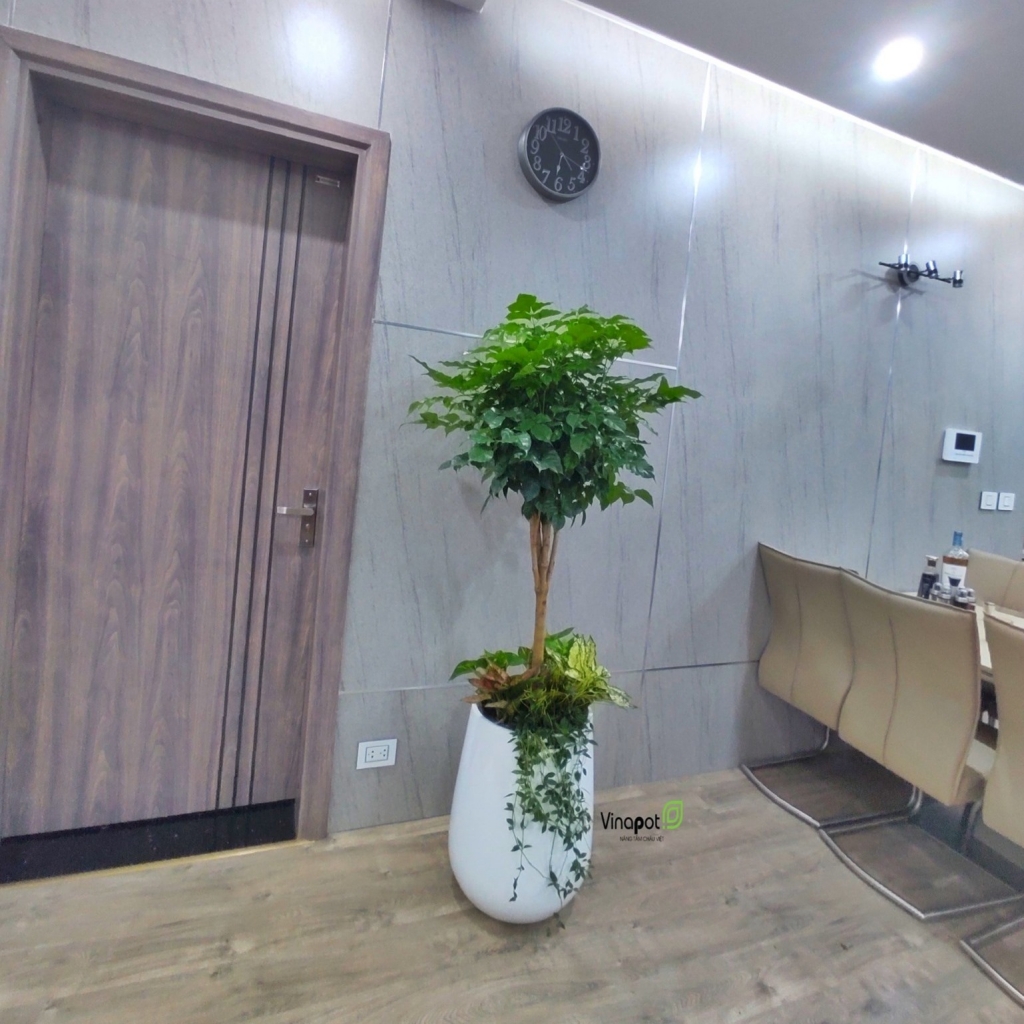 Chậu Composite Vinapot