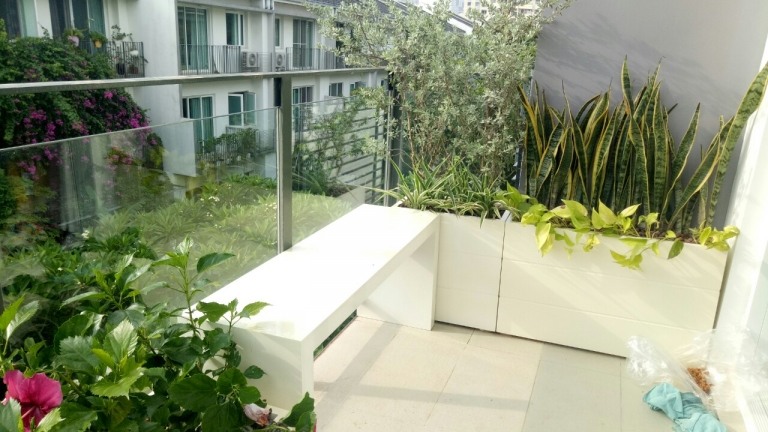 Xu hướng trang trí chậu cây hiện nay