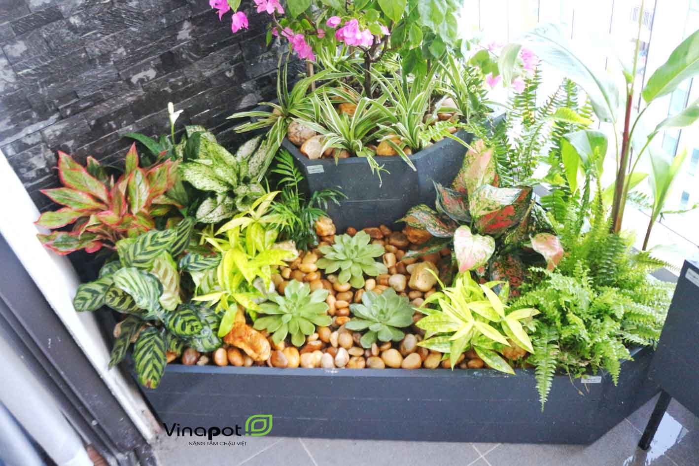 Mẫu chậu cây composite trang trí không gian ban công