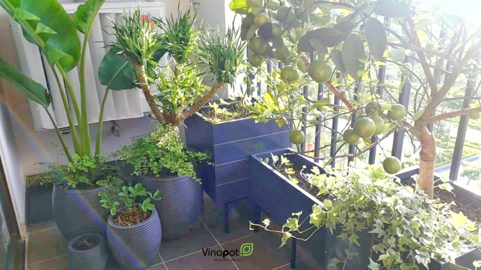 Không gian ban công trang trí chậu gỗ nhựaKhông gian ban công trang trí chậu gỗ nhựa