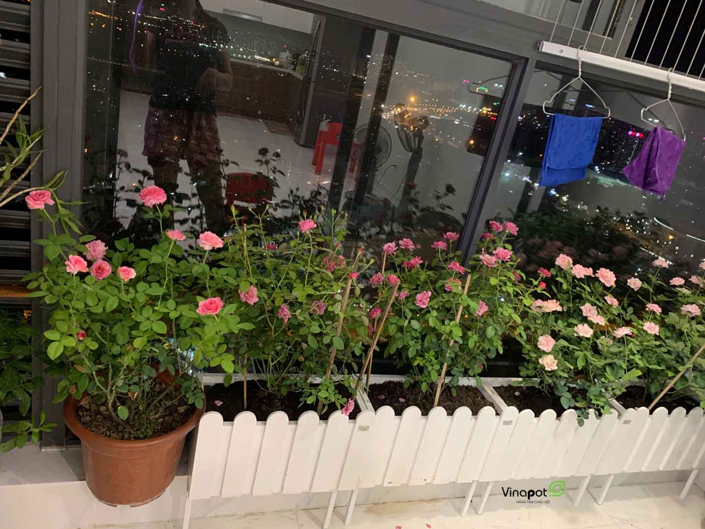 Chậu cây trang trí không gian ban công