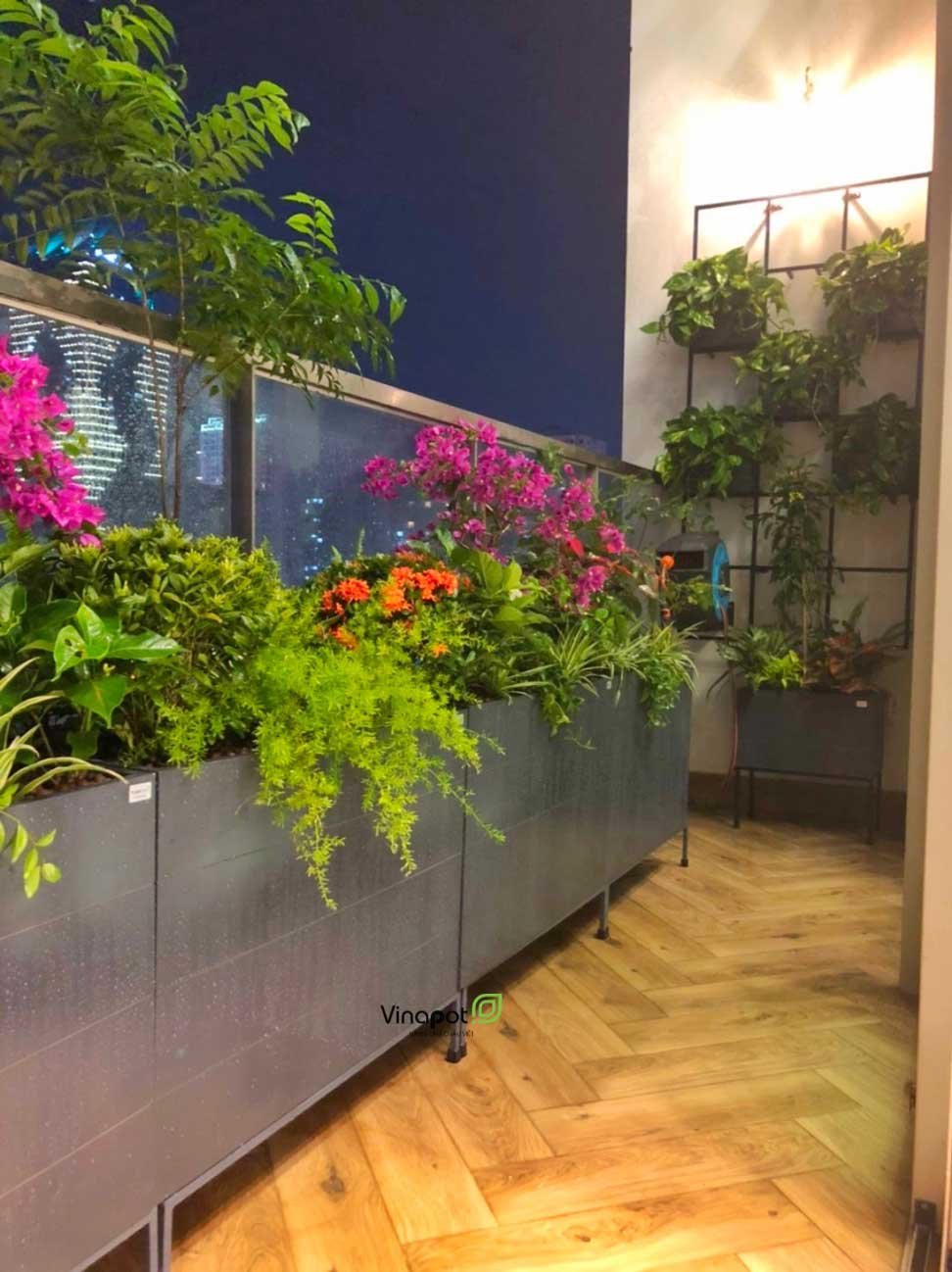 Xu hướng trang trí chậu cây hiện nay