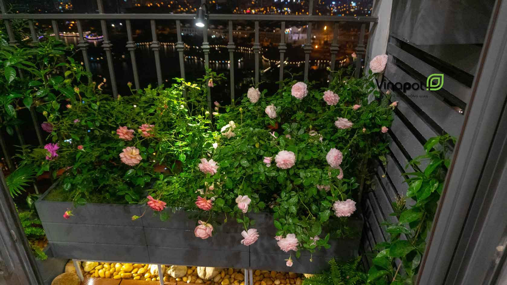 Chậu cây trang trí không gian ban công