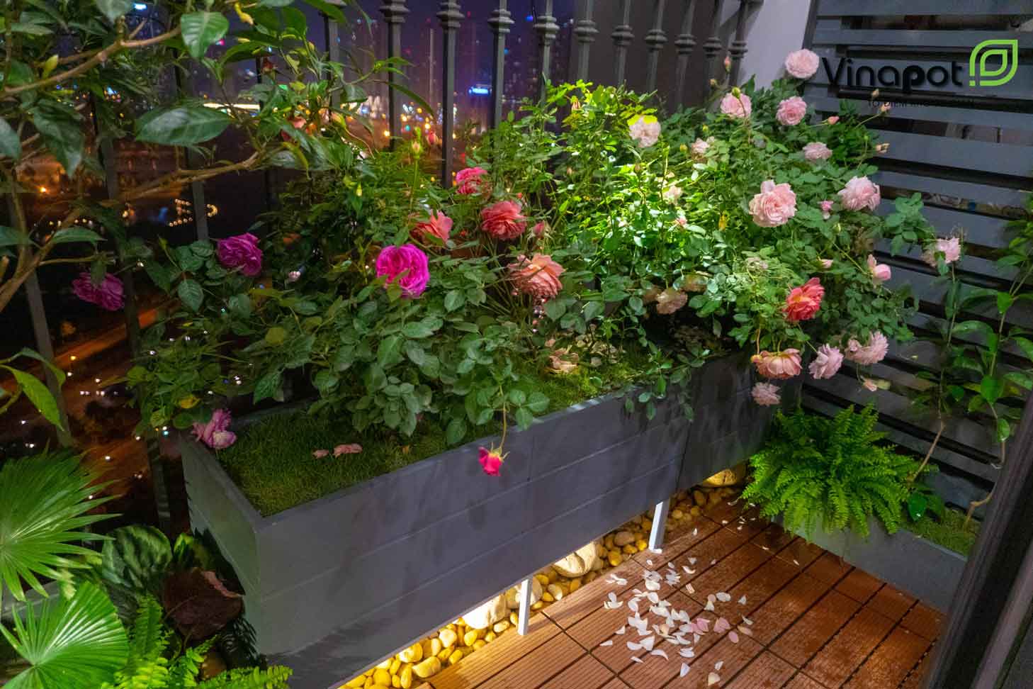Chậu cây trang trí không gian ban công